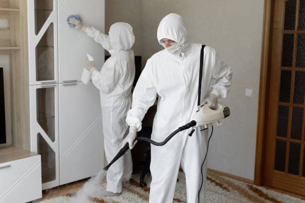 Best Post-Remediation Services in Potomac Park, CA