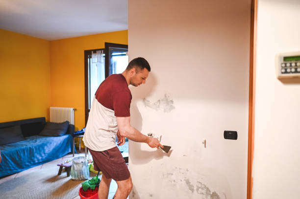 Best Black Mold Remediation in Potomac Park, CA